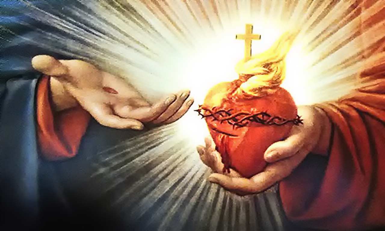 Constitutions and By-Laws