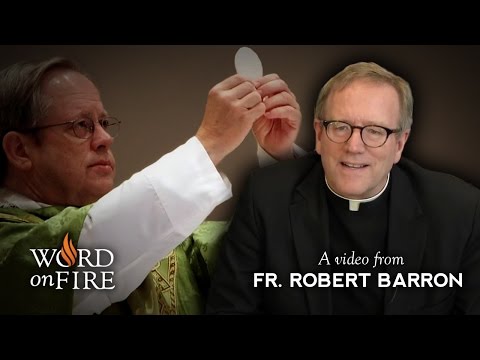 Fr. Barron comments on the Real Presence of Christ in the Eucharist